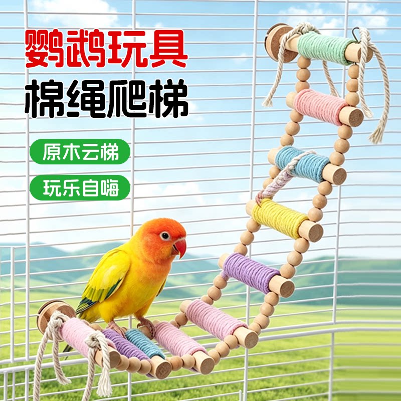 鹦鹉爬架爬梯实木彩绳攀爬秋千啃咬玩具站杆锻炼解闷玩具鸟笼装饰