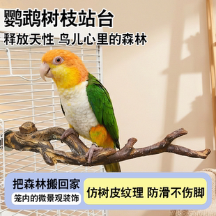 鹦鹉磨爪站杆树脂仿真树木站架鸟笼内饰鸟架子宠物用品鸟笼配件