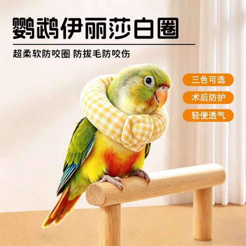 鹦鹉防啃咬伊丽莎白圈防咬伤拔毛
