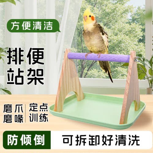 新款鹦鹉排便站架一物多用磨爪站棍杆桌面互动站台鸟拉屎训练