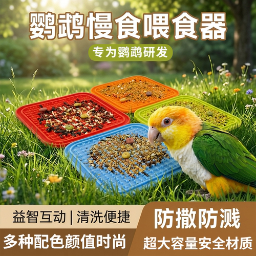 鹦鹉慢食防撒漏益智觅食盘玩具
