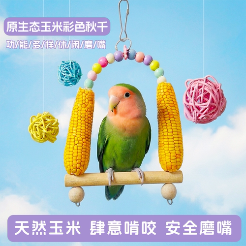 鹦鹉秋千玉米棒啃咬磨喙解闷