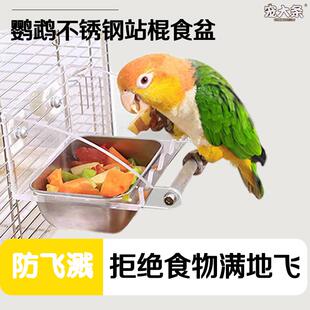 鹦鹉防溅磨爪食盒鸟喂鸟器饮水器进食墨爪多功能亚克力不锈钢食盒