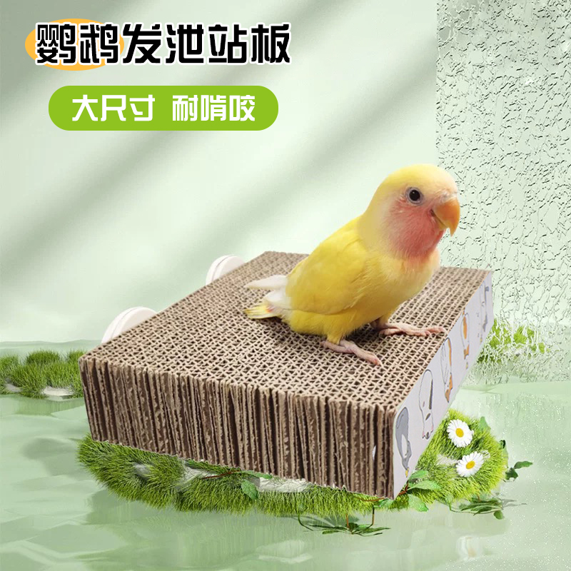鹦鹉玩具解闷存钱罐投罐