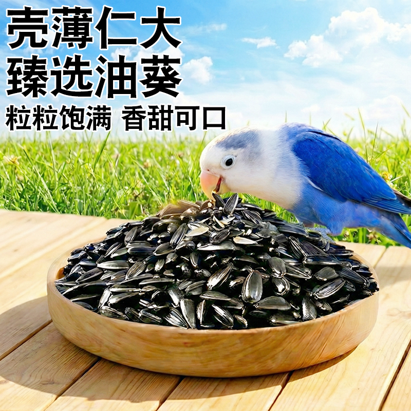 鹦鹉油葵瓜子零食鸟粮虎皮牡丹玄凤专用鸟饲料训练奖励磨牙用品