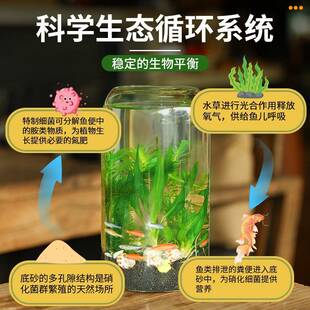 初中生物生态瓶diy材料自循环微景观科学作业生态玻璃鱼缸免打理