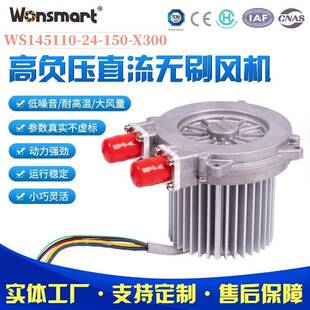 宁波燃料电池扬尘粉尘检测设备环境监测高负压直流无刷风机便携式