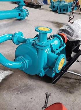 JE渣-Ⅱ压滤机入料泵煤泥处理压滤机浮选喂Z686料卧泵式加压杂质