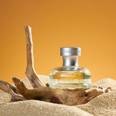 树根拍摄道具干树枝摆件静物化妆品产品主图拍照创意布景沉木装 饰