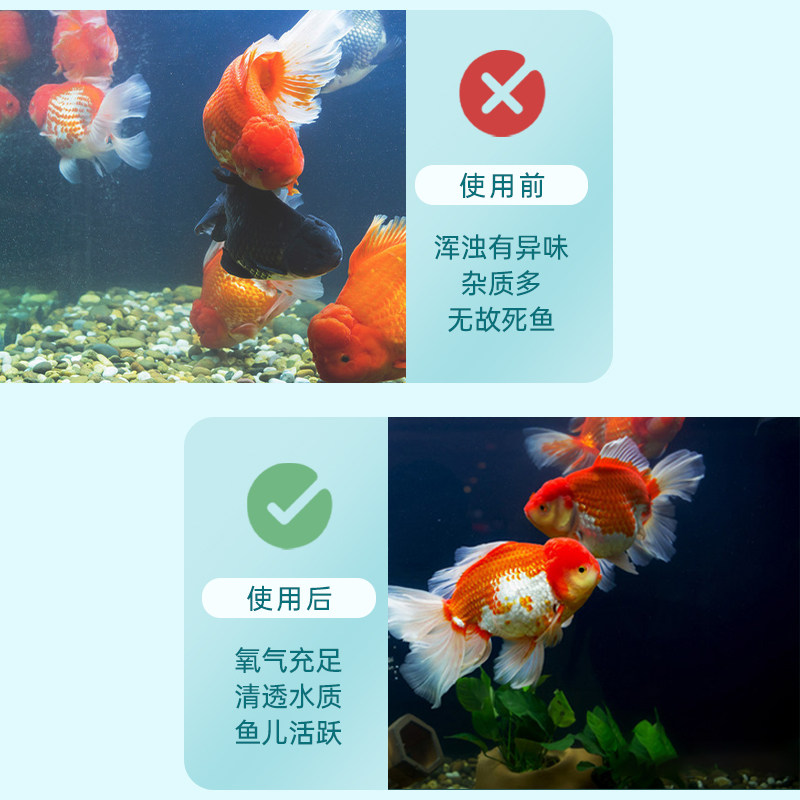 松宝鱼缸内置过滤器四合一过滤设备增氧泵氧气泵静音潜水抽水造浪,宠物/宠物食品及用品,过滤设备,淘宝优惠券,粉丝福利购,淘宝优惠卷