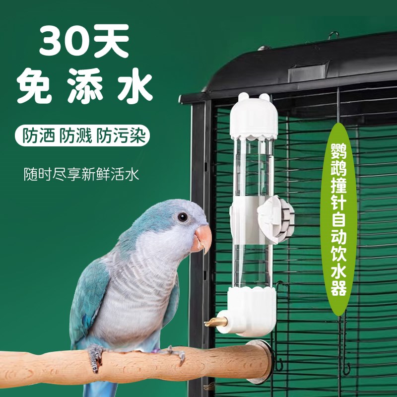 鸟用饮水器喝水中小型鹦鹉撞针水壶耐咬鹦鹉饮水器挂式自动喂水器