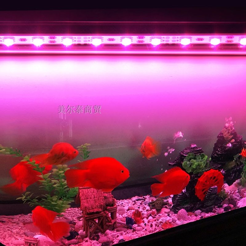 鱼缸超亮LED潜水灯遥控变色鱼缸防水灯管水族箱鹦鹉龙鱼罗汉鱼灯