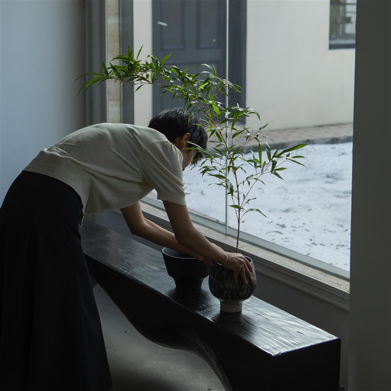 诗与自然 金丝竹子中式禅意风格绿植茶桌书房植物盆景小众景观