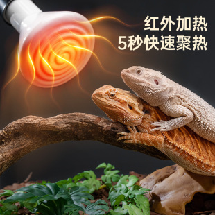 聚热型陶瓷灯加热灯陆龟箱爬箱宠物蛇刺猬鹦鹉饲养箱爬虫箱保温灯