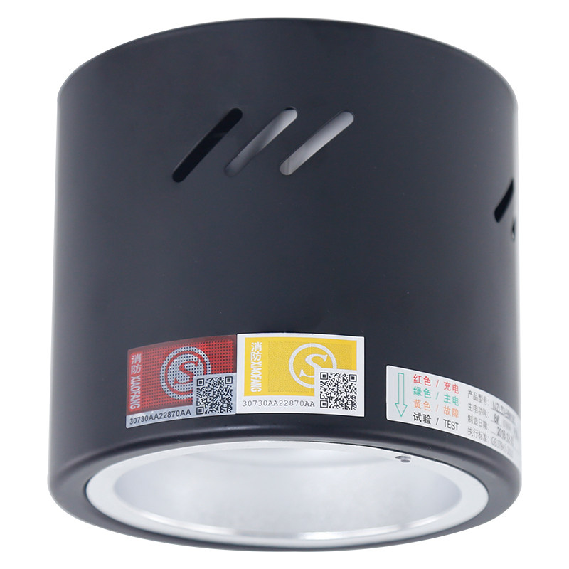 π拿斯特消防应急筒灯明装LED4寸8W黑色新国标照明吊装吸顶式射灯