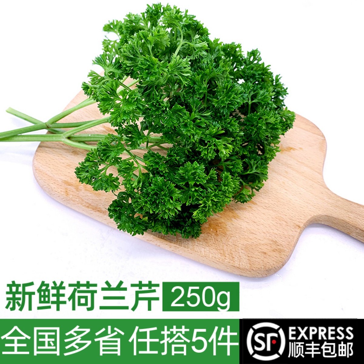 新鲜荷兰芹250g 法国香菜洋芫荽西餐摆盘装饰旱芹蔬菜 满5件包邮