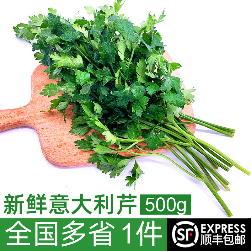 新鲜意大利芹500g 欧芹香芹法国香菜巴西里香西餐食材包邮