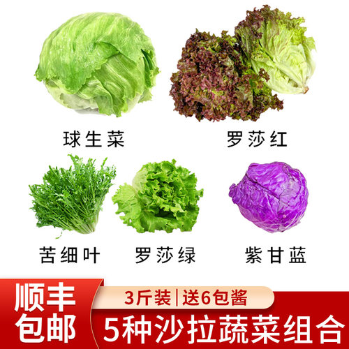 沙拉蔬菜组合3斤 新鲜混合蔬果生菜色拉健身轻食套餐西餐沙拉食材