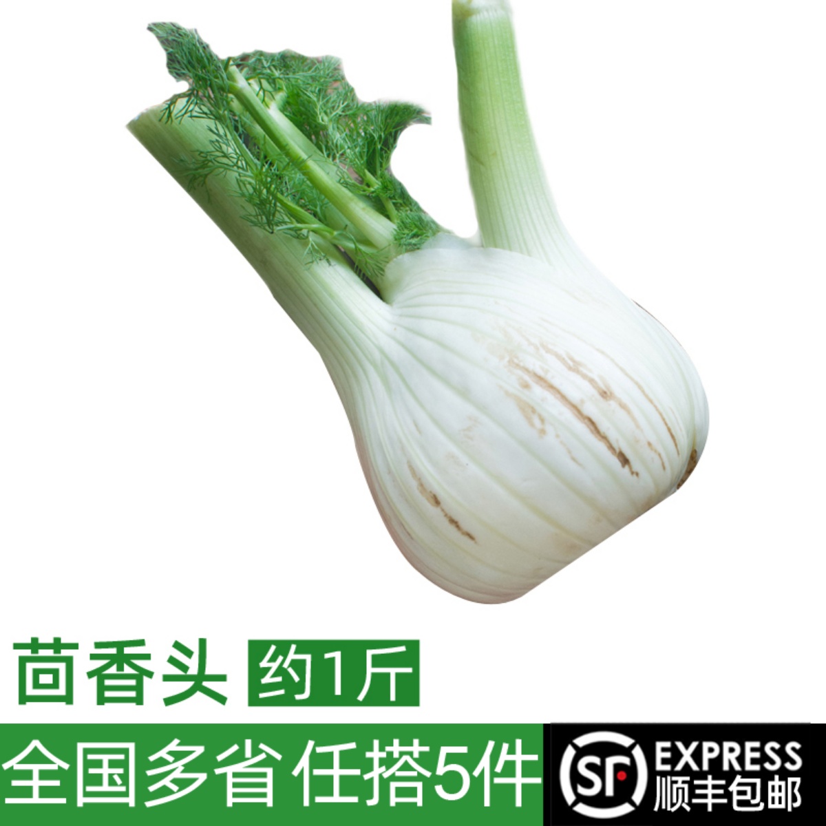 新鲜茴香头约1斤 茴香根茴香球茎西餐香料蔬菜炒牛肉食材 5件包邮