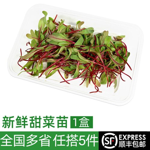 新鲜甜菜1盒摆盘装饰点缀5件日料