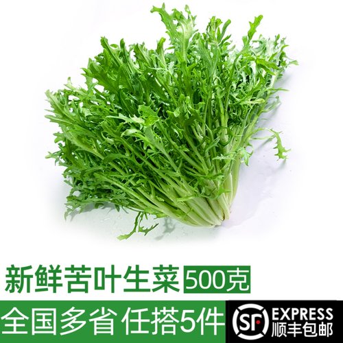 新鲜苦菊500g沙拉轻食蔬菜