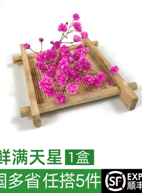 紫色满天星1盒 酒店摆盘花草西餐日料冷菜装饰 满5件包邮