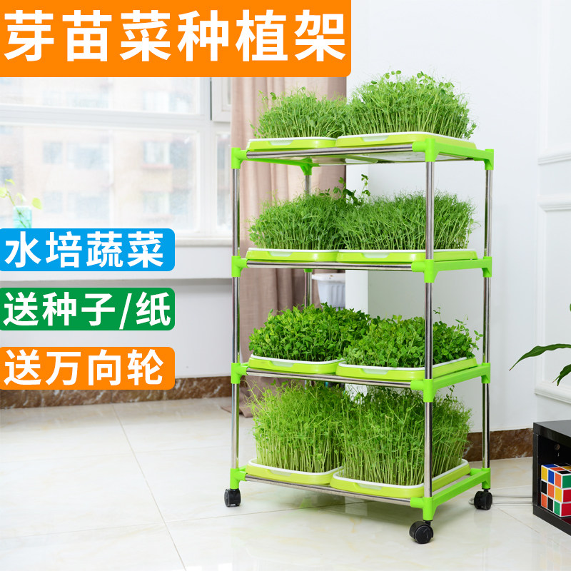 速发芽苗菜育豆盘架子豆芽盆水培蔬无容器菜土栽培豌苗尖小麦草香