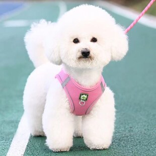 速发背心式小型犬泰熊比迪博美小狗幼犬胸链带遛狗绳狗背子