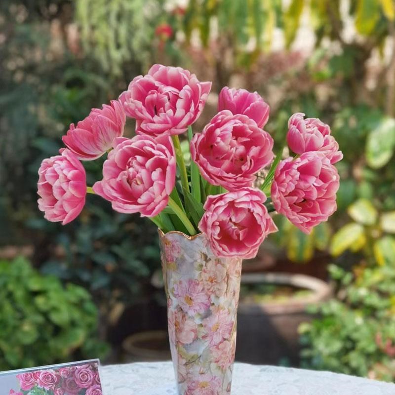 速发草莓松饼重瓣郁金香花束室内水培家用插花云南基地直发鲜切花