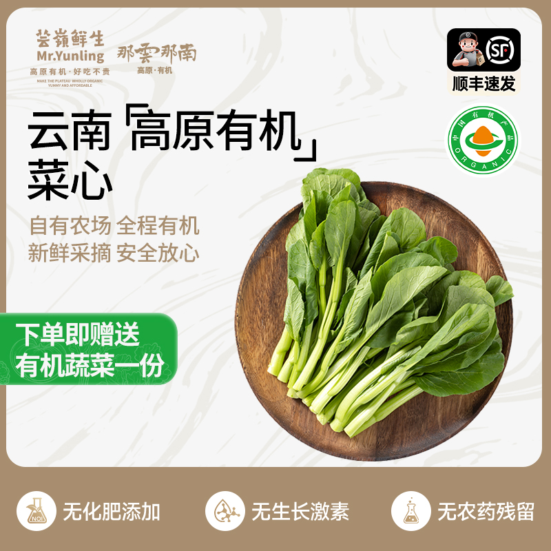 云南高原有机菜心爽滑脆嫩可清炒煲汤3.6斤装新鲜云南蔬菜农场