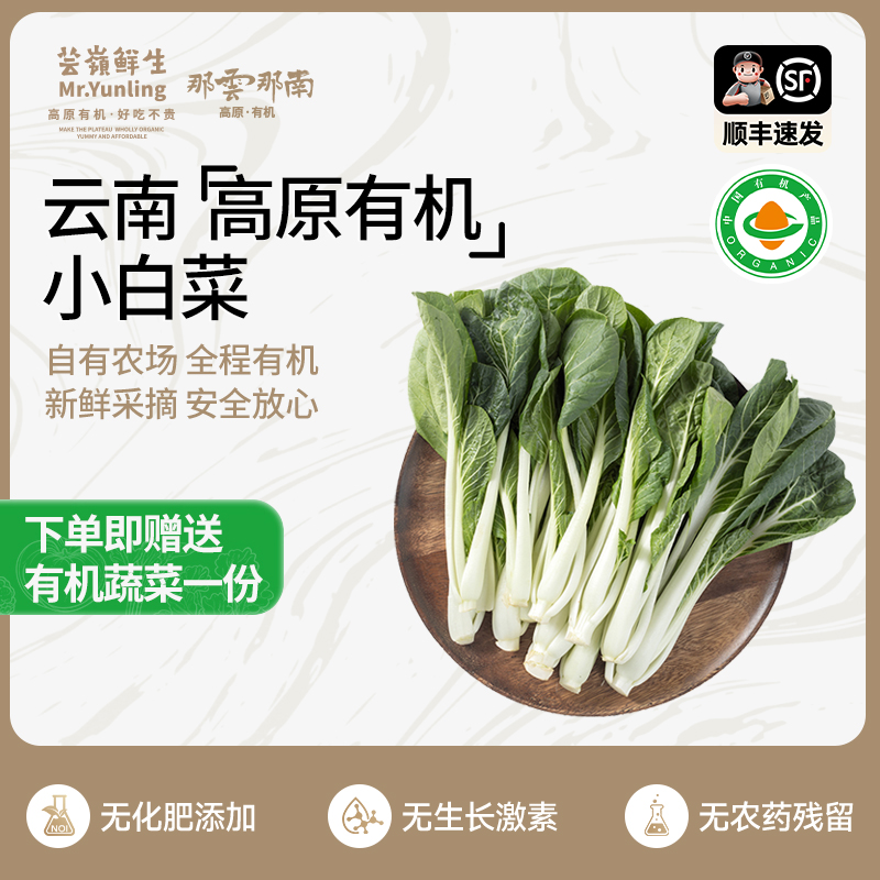 云南高原新鲜有机小白菜脆嫩美味爽滑可清炒凉拌3.6斤装产地直供