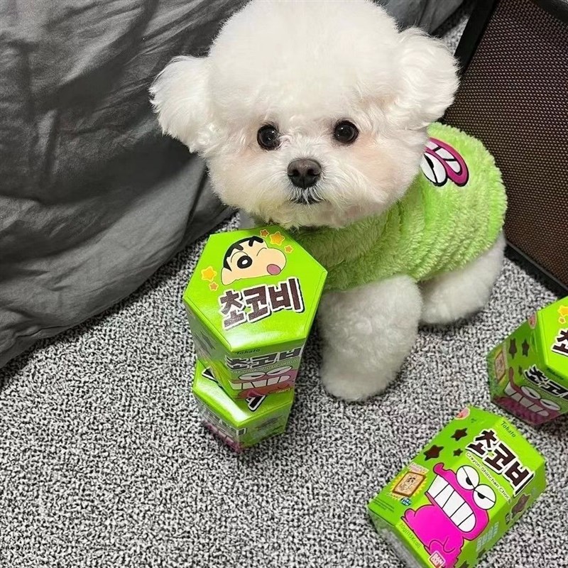 现货速发泰迪比熊衣服秋冬装绒衣保暖卫衣可爱贵宾雪纳瑞猫咪衣服
