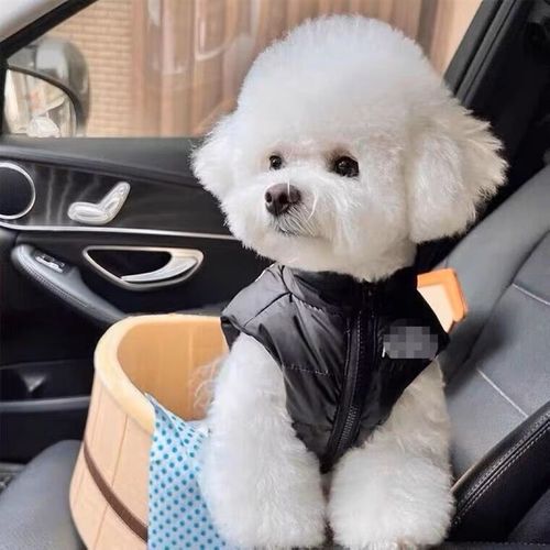 速发型棉马甲小夹犬天斗冬法保暖咪衣服