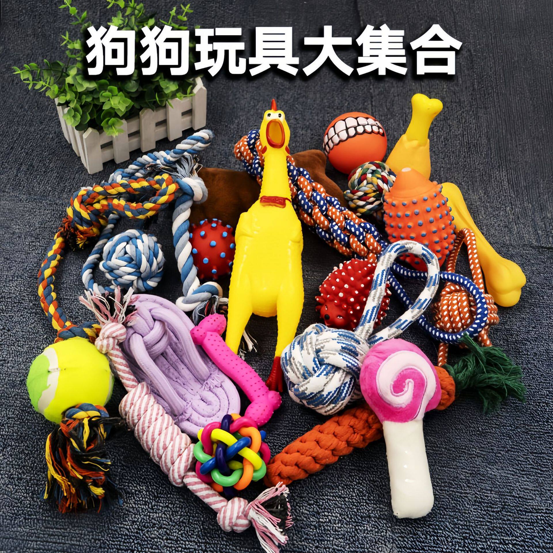 狗狗玩具用品耐咬磨牙解闷发声毛绒幼犬尖叫鸡小狗金毛泰迪玩具球