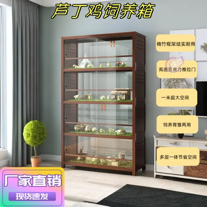 一米芦丁鸡饲养箱透明多层宠物柜生态鹦鹉鸟笼爬宠守宫养殖箱