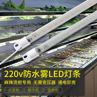220vLED點菜柜蛋糕展示柜貨架商超飲料冰箱陳列柜防水硬燈管條帶