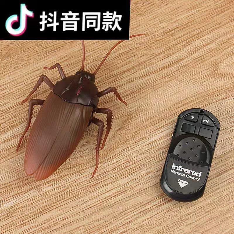 抖音遥控蟑螂玩具男生生日礼物遥控玩具男孩创意礼物整蛊道具恶搞
