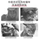 洗猫袋洗猫神器剪指甲小猫咪背包剪指甲防抓固定宠物清洁用品防咬