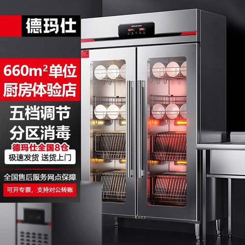 德玛仕商用消毒柜双门调温高温热风循环烘干大容量立式XDR650-D2G