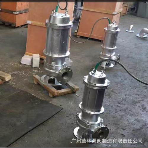 304不锈钢潜污泵250WQ600-9隔爆型BT4潜水排污泵
