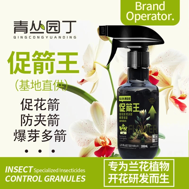 青丛园丁促箭王基地兰花开花专用蝴蝶兰促花箭防夹箭爆芽多箭正品图片