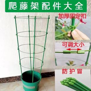 爬藤支架花架加粗盆栽金钱树昙花月季花专用固定花卉植物支撑杆