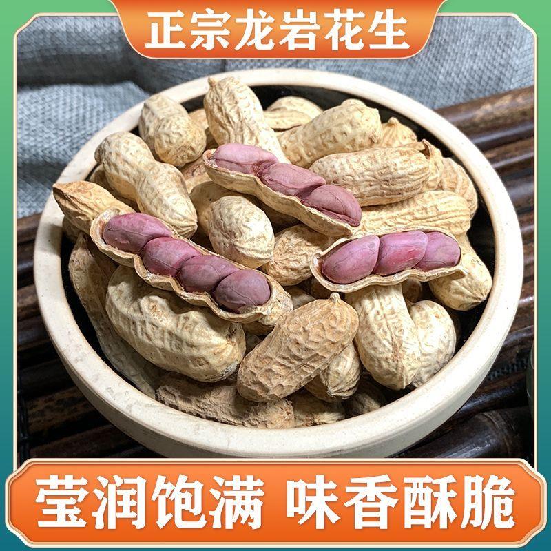 龙岩花生花生花生正宗闽西特产四粒湿烤紫衣花生三水煮红衣皮花