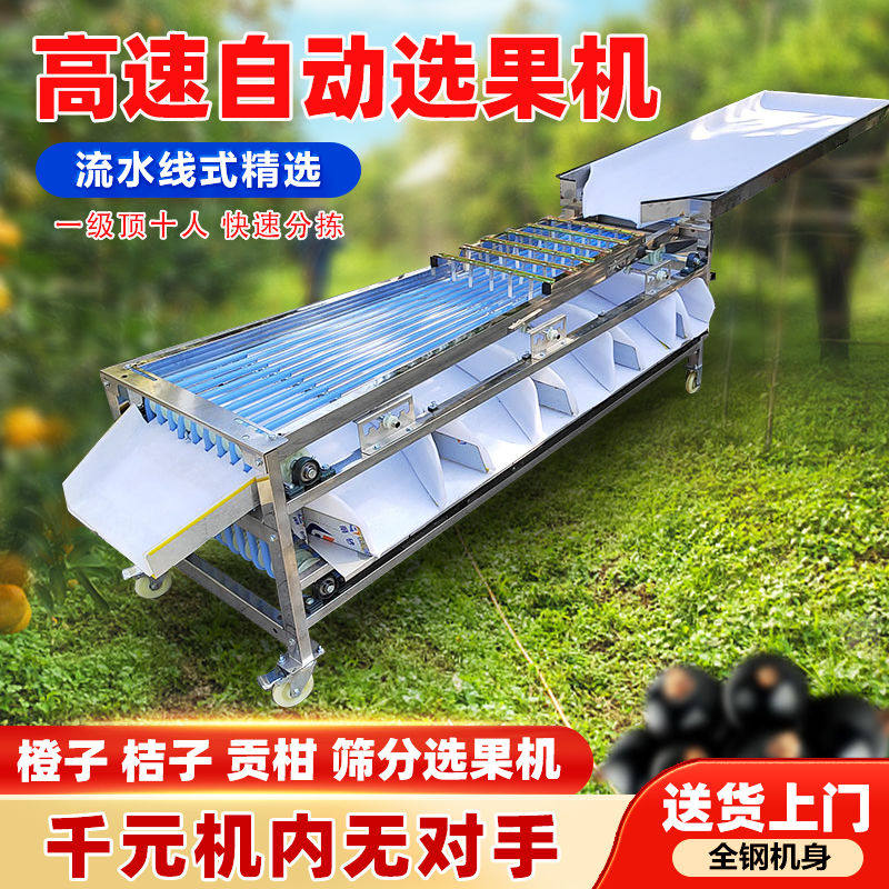新款百香果选果机商用槟