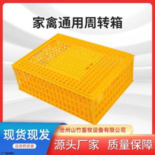 鸡笼周转箱 塑料鸡笼运输笼子成鸡鸭周转筐鸽兔用养殖笼家禽