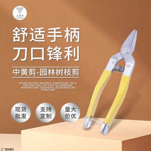 中黄剪园林树枝剪多功能修枝剪果树剪园艺果枝剪罗定刀剪20把