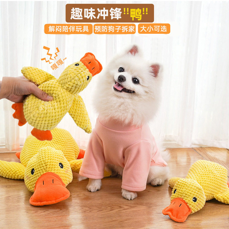 狗狗毛绒小鸭子玩具磨牙耐咬解闷宠物互动玩具,宠物/宠物食品及用品,猫狗特色玩具,淘宝优惠券,粉丝福利购,淘宝优惠卷