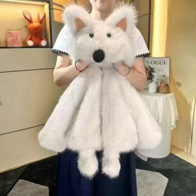 女宝中小童西高地2025新款儿童