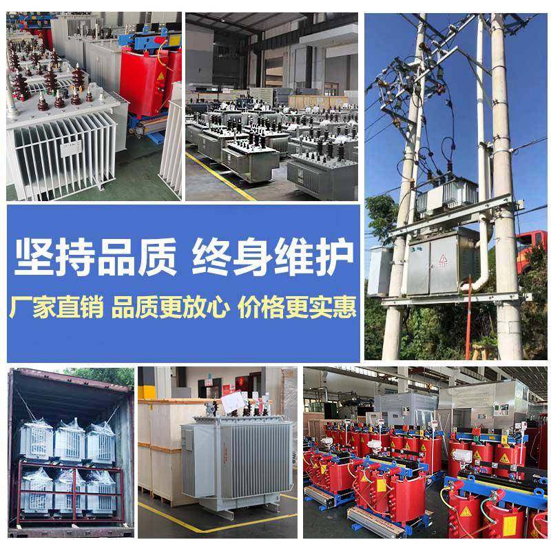 S11/S13浸油LVP式变压器高压三相250-31A5-500KV千瓦电力变器10压