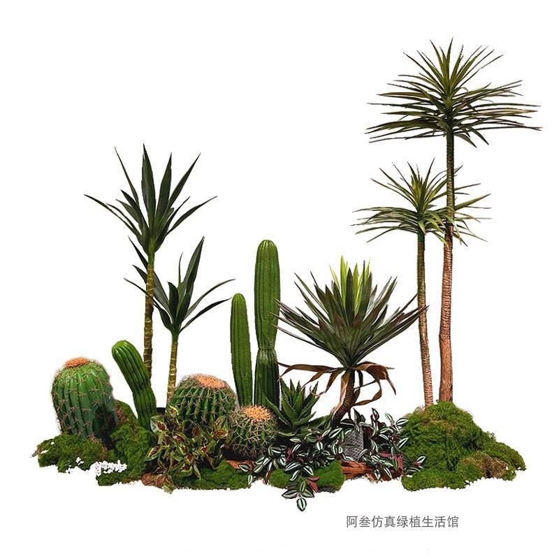 绿植造景龙血树室内大型落地假植物楼梯下拐角景观装饰品楼梯转角